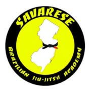 A yellow and black logo for the sauarese aviation institute.
