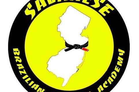 A yellow and black logo for the sauarese aviation institute.
