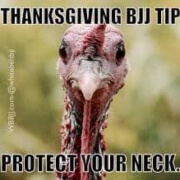 A turkey with the words " thanksgiving bjj tip protect your neck."