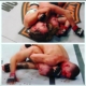 Two pictures of a man wrestling on the ground.