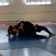 Two people are wrestling on a blue mat.