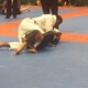 Two people are wrestling on a blue and orange mat.