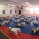 A group of people in white uniforms practicing judo.