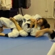 Two people are practicing jiu jitsu on a mat.