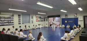 Lyndhurst Kids martial arts