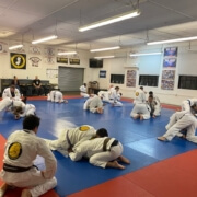 A group of people in the gym doing martial arts.