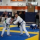 Controlling the hands in Jiu-Jitsu