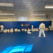 Savarese Jiu-Jitsu-uncoachable kids become unemployable adults